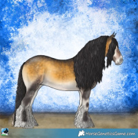 Horse Color:Buckskin Onyx 