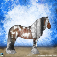 Horse Color:White Spotted Brown Rabicano 