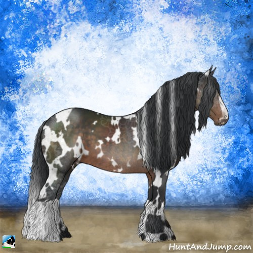 Horse Color:White Spotted Brown 