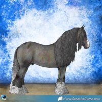 Horse Color:Midnight Buckskin Ice Onyx Appaloosa Rabicano 