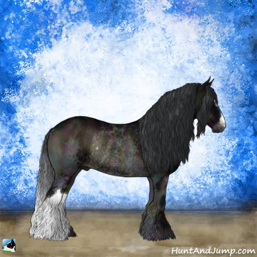 Horse Color:Midnight Brown Ice Onyx Rabicano 