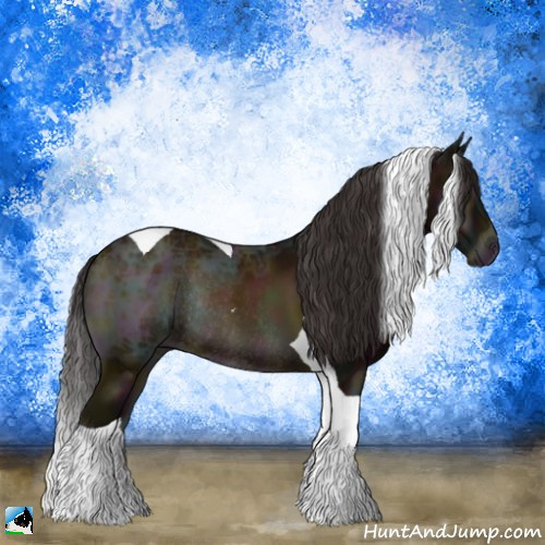 Horse Color:Midnight Buckskin Ice Onyx Tobiano Rabicano 