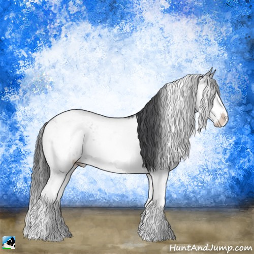 Horse Color:Brown Sabino Rabicano 