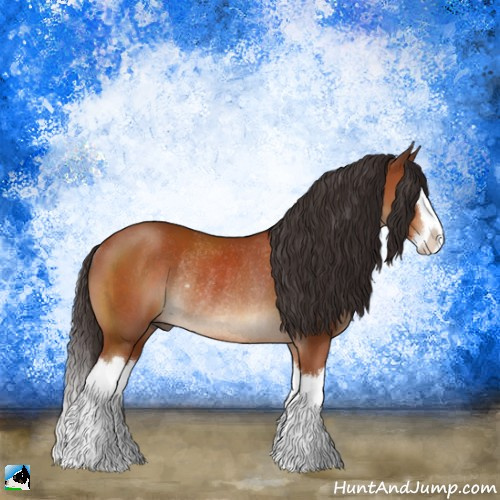 Horse Color:Brown Sabino Splash Rabicano 