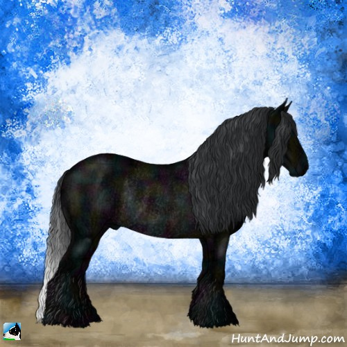 Horse Color:Midnight Brown Ice Rabicano 