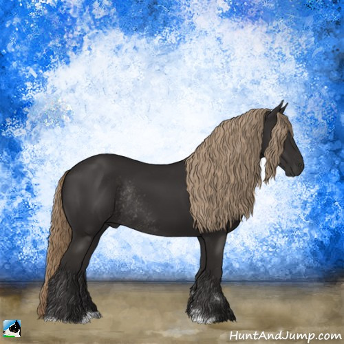 Horse Color:Liver Chestnut Sabino Rabicano 