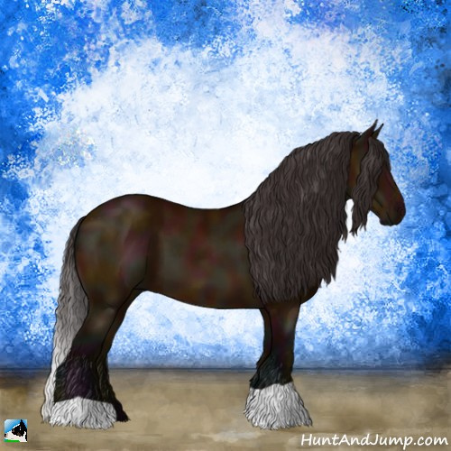 Horse Color:Midnight Buckskin 