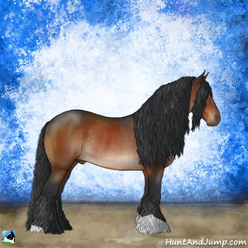 Horse Color:Brown Rabicano 