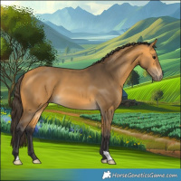 Horse Color:Buckskin 
