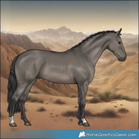 Horse Color:Grullo 