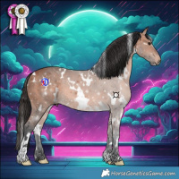 Horse Color:White Spotted Bay 