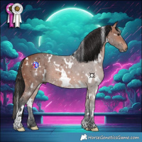 Horse Color:White Spotted Bay 