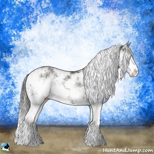 Horse Color:Midnight Buckskin Ice Onyx Sabino 