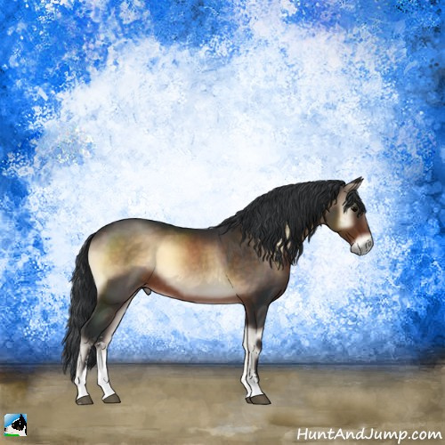 Horse Color:Brown Onyx Sabino 
