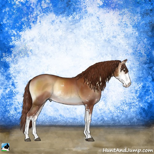 Horse Color:Red Onyx Sabino 