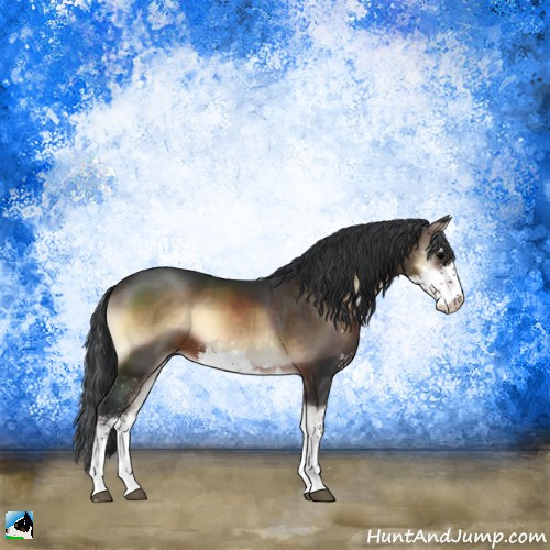 Horse Color:Brown Onyx Sabino 