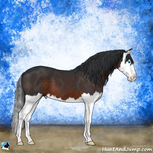 Horse Color:Brown Splash 