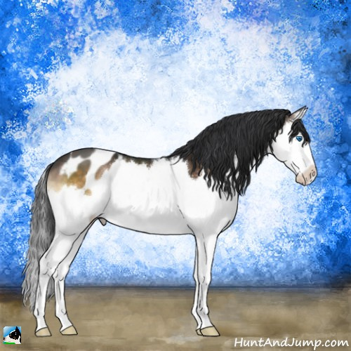 Horse Color:Brown Onyx Splash Appaloosa Brindle 