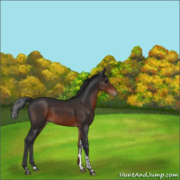 Horse Color:Brown Tobiano Varnish
