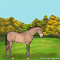 Horse Color:Sable Champagne