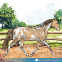 Horse Color:White Spotted Sable Cream Champagne Appaloosa 
