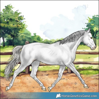 Horse Color:Silver Buckskin Dun Splash Tobiano Frame Near Fewspot 