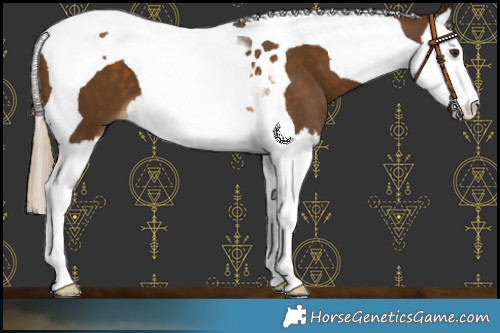 Horse Color:Chocolate Palomino Splash Tobiano 