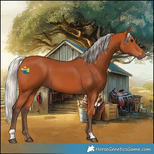 Horse Color:Silver Bay 