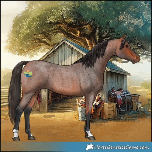 Horse Color:Bay Roan 