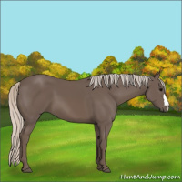 Horse Color:Silver Black 