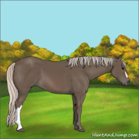 Horse Color:Silver Black 