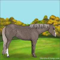 Horse Color:Silver Black 