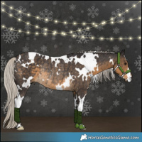 Horse Color:White Spotted Silver Smoky Black Rabicano 