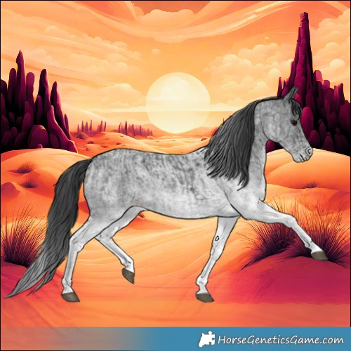 Horse Color:White Spotted Blue Roan Rabicano  and White Spotted Blue Roan Rabicano 