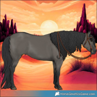 Horse Color:Grullo