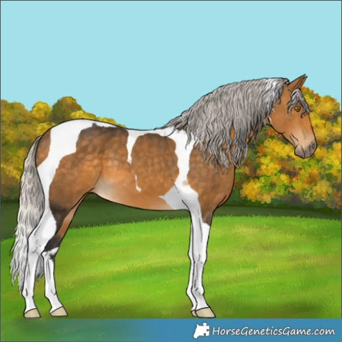 Horse Color:Silver Buckskin Tobiano 