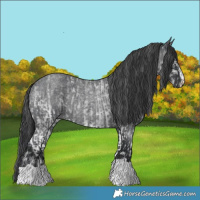 Horse Color:White Spotted Blue Roan Rabicano  and Blue Roan Rabicano 