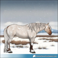 Horse Color:White Spotted Silver Brown Roan Dun Rabicano 