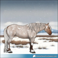 Horse Color:White Spotted Silver Brown Roan Dun Rabicano 