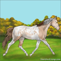 Horse Color:Brown Snowdrop Pearl Dun Tobiano Blanket Rabicano 