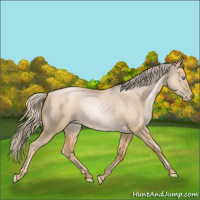 Horse Color:Chocolate Palomino Roan Pearl Dun Rabicano