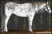 Horse Color:Gray White Spotted Black  and Gray White Spotted Classic Champagne 