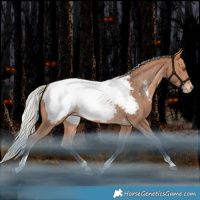 Horse Color:Silver Bay Tobiano Near Fewspot 