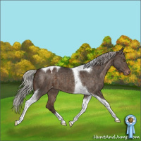 Horse Color:Silver Brown Dun Tobiano Varnish Brindle 