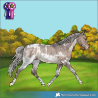 Horse Color:White Spotted Silver Brown Dun Appaloosa Brindle 