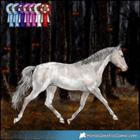 Horse Color:White Spotted Silver Brown Dun Appaloosa Brindle 