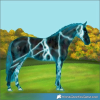 Horse Color:Void Thunderstruck White Spotted Midnight Grullo Splash 
