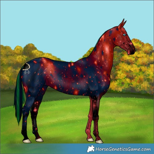 Horse Color:ERROR: UNKNOWN ANOMALY