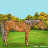 Horse Color:Chocolate Palomino 
