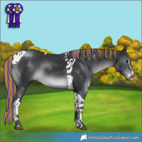 Horse Color:Painted Black Chinchilla Splash Tobiano 